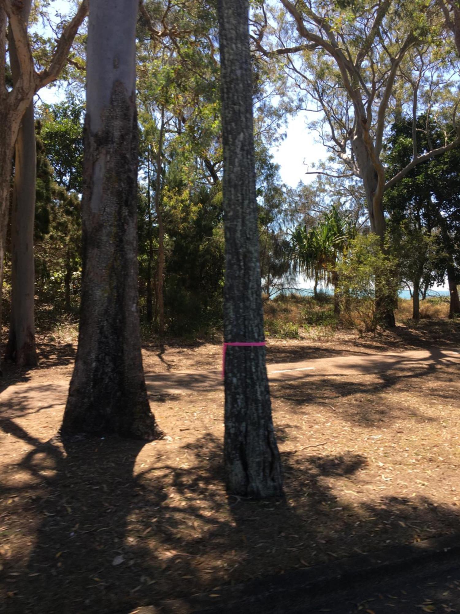 The Bay Beach Shack, Hervey Bay Buitenkant foto